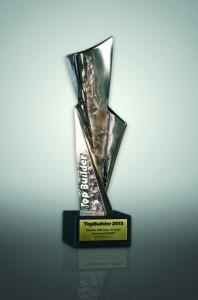 Nagroda Topbuilder 2013