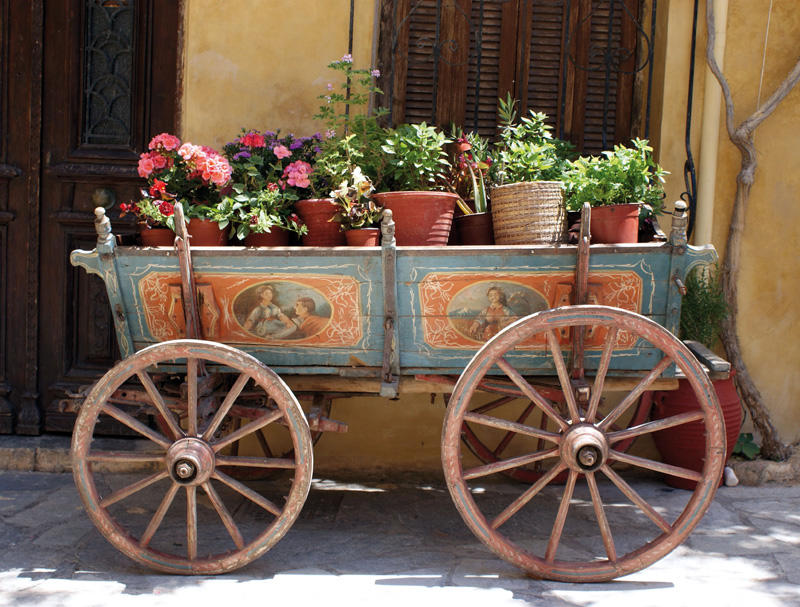 kwietnik 300dpi kwietnik 300dpi