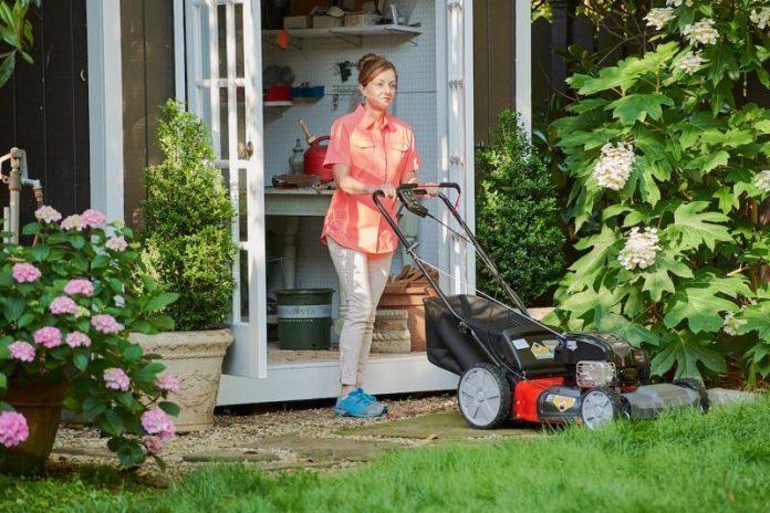 Jesienne porady Briggs anx stratton