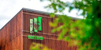 Budynek z zewnątrz nawiązuje do obróbki drewna i produkcji podłóg. Fot. Kaczkan