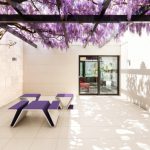 Modern Line Kolekcja Focus