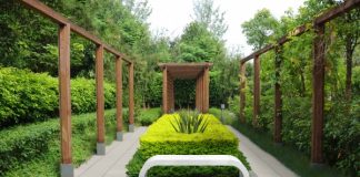 Modern Line – płyta Style, płyta Cube, Ława Harmony