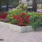 Palisada Mogielica piryt