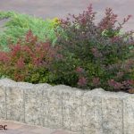 Palisada Mogielica piryt