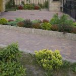 Palisada Mogielica piryt