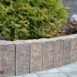 Palisada Mogielica vera