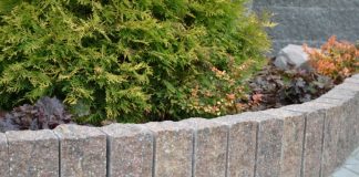 Palisada Mogielica vera