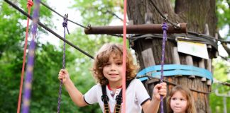 Drewnochron Impregnat