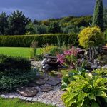 Plantica oczko wodne