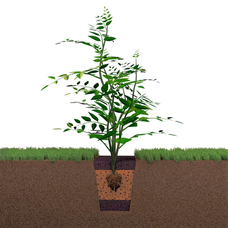 Zobacz szczegóły tego rozwiązania https://leca.pl/rozwiazania/nowe-nasadzenia-roslin