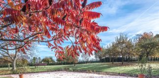 fot. DASAG. Płyty Ateny Prato