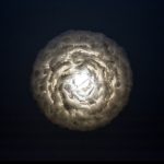 fot. Agnieszka Brzozowicz Fotografia