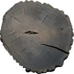 mat. Fabryka Tarasów