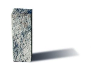 palisada_lupana_Buszrem