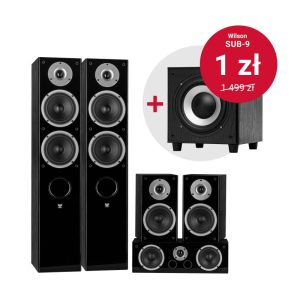 4_Zdjęcie_Zestawu_Raptor51v-Sub9-black