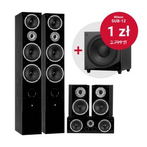 4_Zdjęcie_Zestawu_Raptor91v-Sub12-black