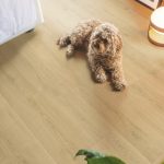 Quick-Step podłoga kolekcja Capture_SIG4763