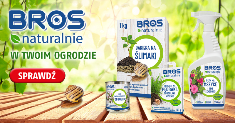 BROS naturalnie www 1200x628 - www 02.05.25 (2025 ML, ZS)