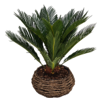 8717929899586-P-006-3296345